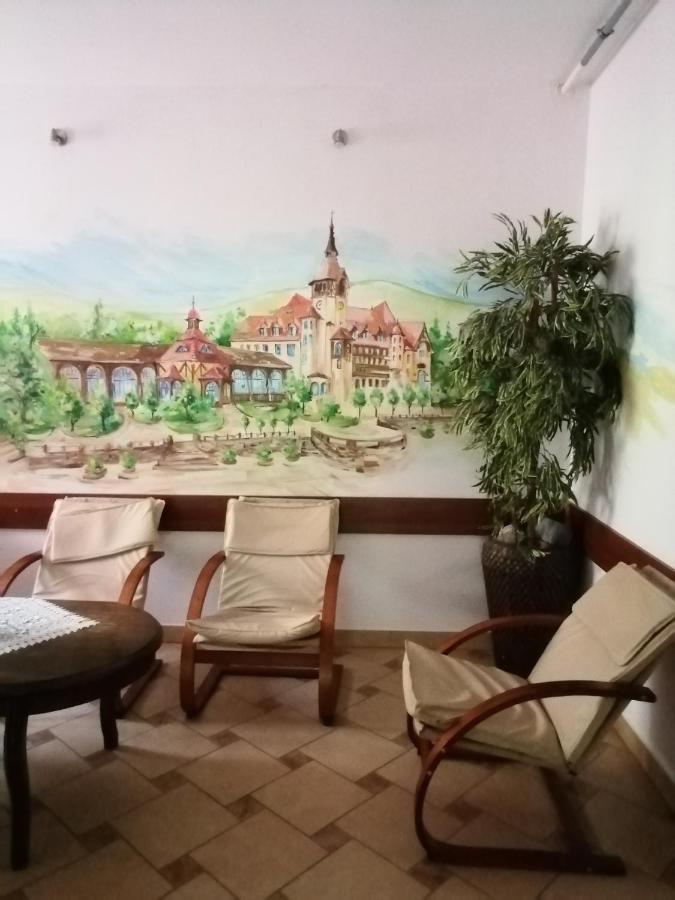 Bed and Breakfast Pasja Свєрадув-Здруй Екстер'єр фото
