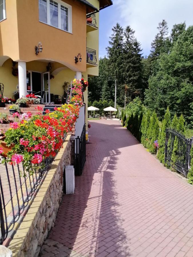 Bed and Breakfast Pasja Свєрадув-Здруй Екстер'єр фото