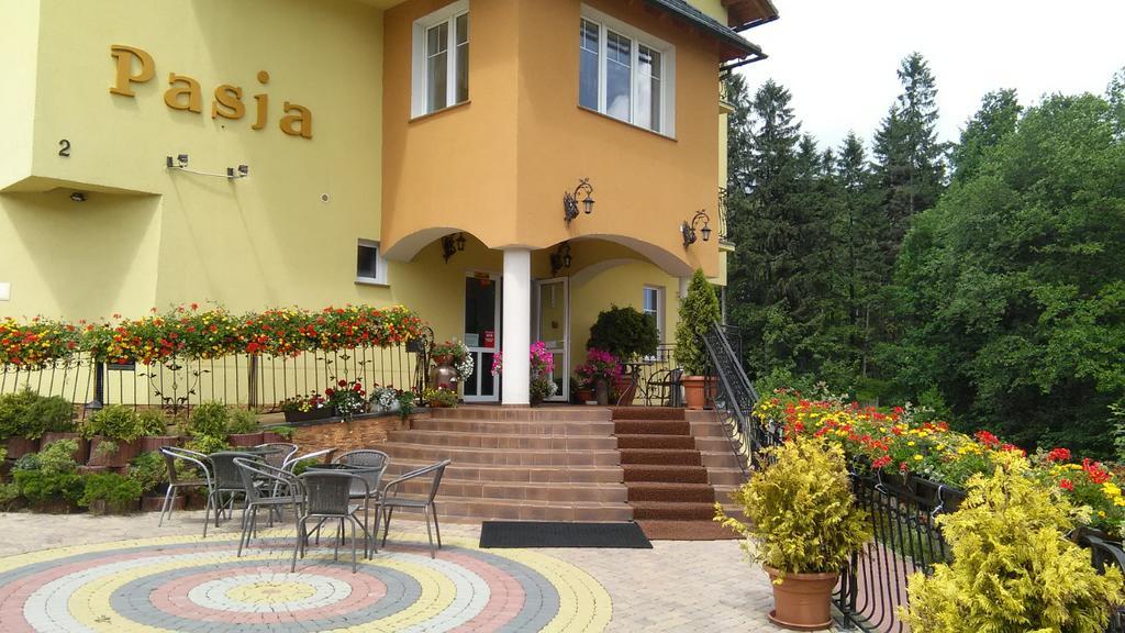Bed and Breakfast Pasja Свєрадув-Здруй Екстер'єр фото